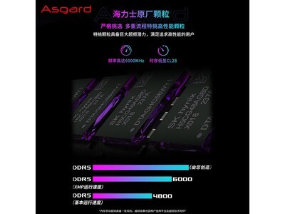 ��˹����Ů����II��32GB DDR5�ڴ����