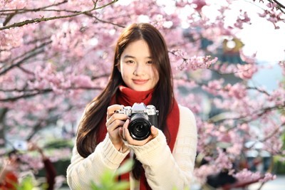 轻巧随行 画质出众 富士X-T50摄影体验