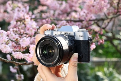 轻巧随行 画质出众 富士X-T50摄影体验