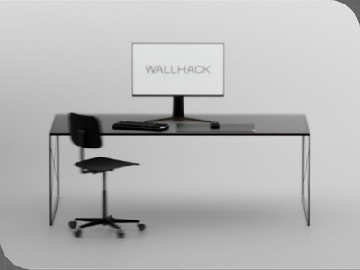 WALLHACK岣±׼Ϳ+΢ṹٶ;