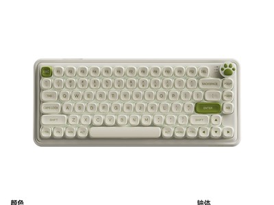 Ԫ������z82proŮ������ֱ��60Ԫ