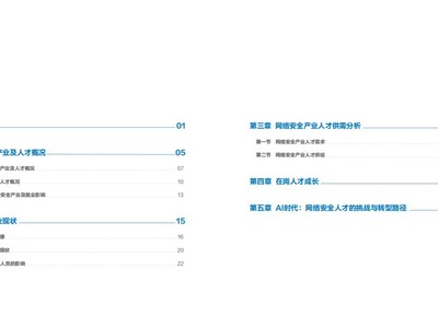 AIʱ簲ȫ˲ű棨2025гAI簲ȫλͼס