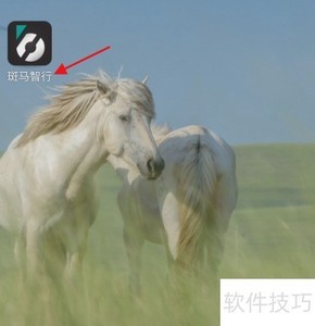 ����������Ȩ����������λ