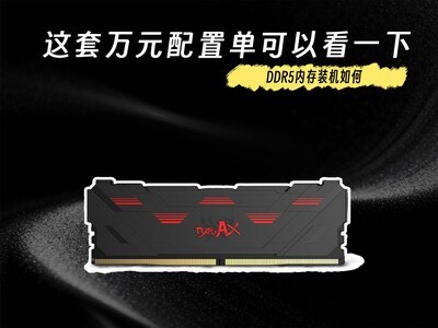 DDR5�ڴ�װ����� ������Ԫ���õ����Կ�һ��