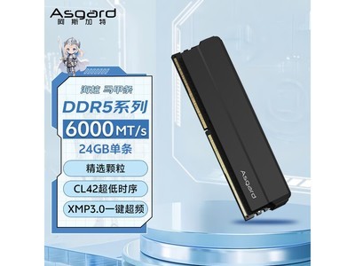 ��˹����DDR5 6000 48GB�ڴ���ʱ�ػ�