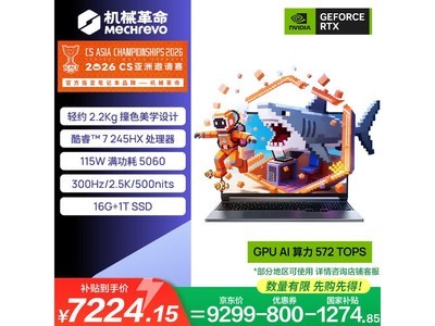 机械革命极光X潮玩版游戏本