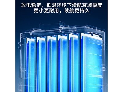 ����Ƕ�48V20AHǦ����