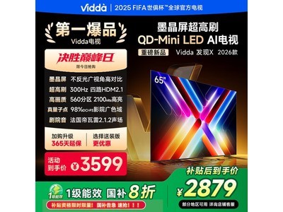 ViddaX 2665Ӣ300Hzˢһ
