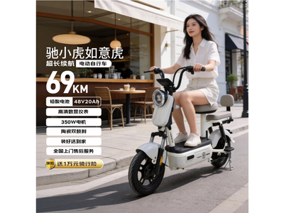 ��С���������綯���г�1299Ԫ