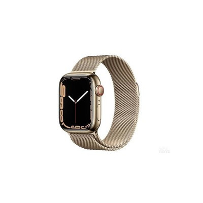 Apple（苹果） Apple Watch Series 7 45mm（蜂窝版/不锈钢表壳/米兰尼斯表带）