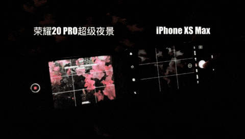 荣耀20 PRO暗夜拍照对比iPhone XS Max 