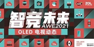 2021 AWE上海家电展-OLED电视动态