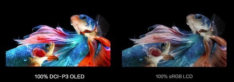 【在线观点】笔记本电脑到底需不需要OLED屏？