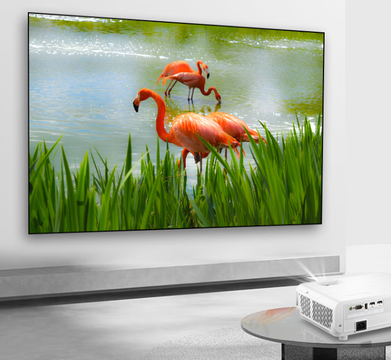 一台投影，两种沉浸：优派LX720-4KC如何重新定义家庭大屏生活？