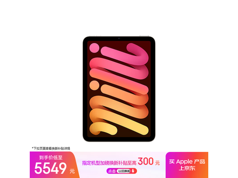 iPad mini 7 2024款限时特惠