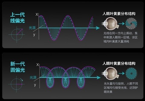 为什么越来越多人开始关注健康电竞显示器？EVNIA弈威值得买吗