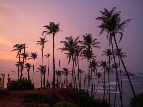 富士 GFX100RF 斯里兰卡行摄实录