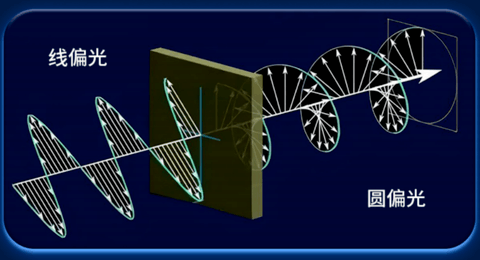 从低蓝光到圆偏光 健康显示或将成为未来行业底色