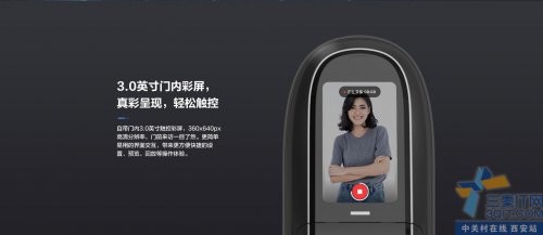 ˢָƬˢƼөʯDL31FVS   