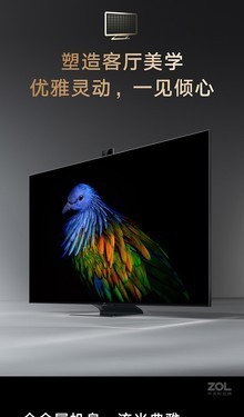 ޽ȫС׵6 75Ӣֻ 