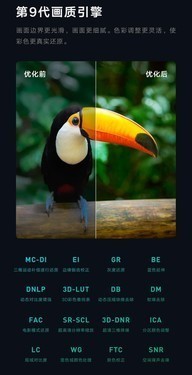 ȫС׵5 PRO 65Ӣֻ 