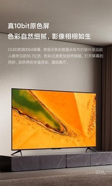 Ƽ С׵6 OLED 65Ӣֻ  