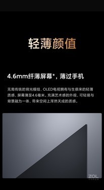Ƽ С׵6 OLED 65Ӣֻ  