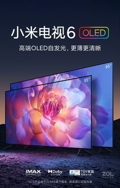 Ƽ С׵6 OLED 65Ӣֻ  