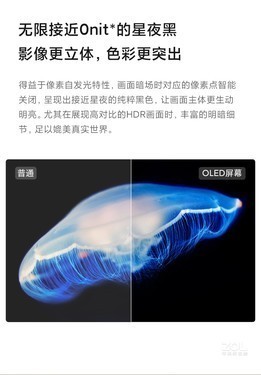 Ƽ С׵6 OLED 65Ӣֻ  