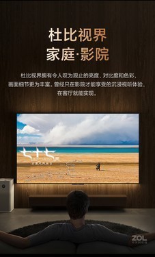 Ƽ С׵6 OLED 65Ӣֻ  
