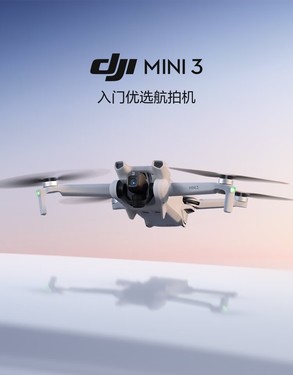 5ƴMini 3ֻ 