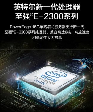  PowerEdge T150Сʽר 