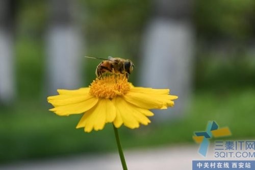 尼康新品Zfc,西光首发