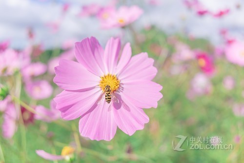 腾龙专卖店 20F/2.8/6.18西光大促2250