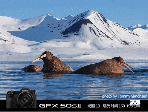 ʿлGFX50SII ɻû  3500Ԫ 