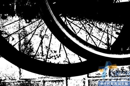 尼康新品Zfc,西光首发