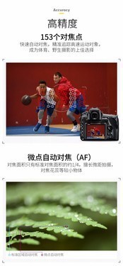 ߶˵ ῵D850̼Ҵ 
