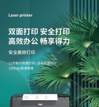 ��ȫ��ӡ����ZYP31DN�����ӡ���������� 