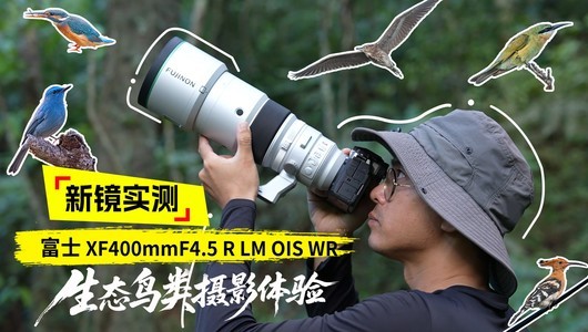 新镜实测｜富士XF400mmF4.5 R LM OIS WR生态鸟类摄影体验