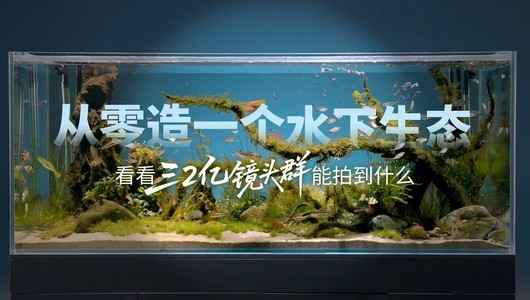从零造一个水下生态，看看三2亿镜头群能拍到什么