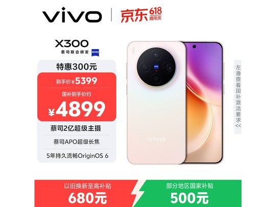 vivo X300 �ͼ۹�