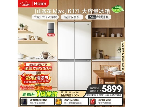 ����ɽ�軨MAX����617L