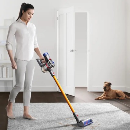  ɭ(Dyson)V8 Absolute ֳߴǿ 6ͷ ɫ