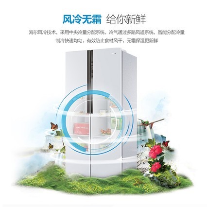 HaierBCD-452WDPF 452Կű ˪ ˱ װһ õ
