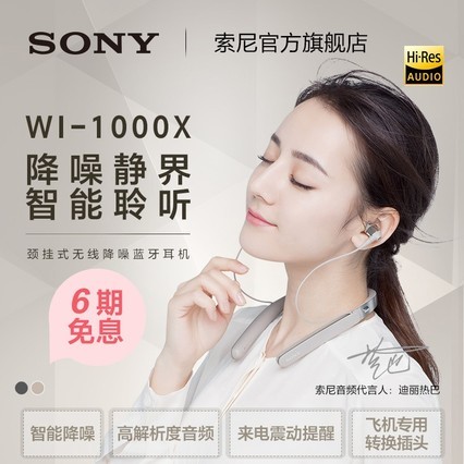 6ϢSony/ WI-1000X 