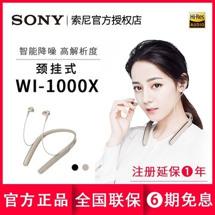 Sony/ WI-1000X˫ͷҶʽ˶