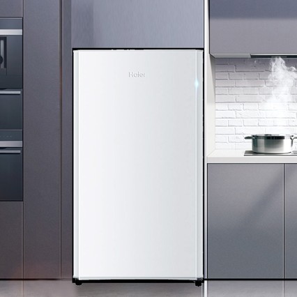 Haier/ BC-93TMPF 93żýСⷿ