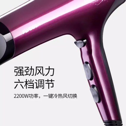 ɿ(FLYCO)FH6273紵ôʴͲ 2200W FH6273
