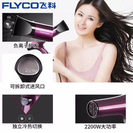 ɿ(FLYCO)FH6273紵ôʴͲ 2200W FH6273