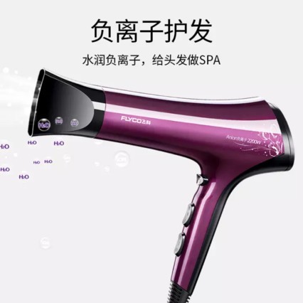ɿ(FLYCO)FH6273紵ôʴͲ 2200W FH6273